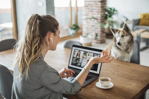 woman video conferencing from home, cute dog is watching her woman is doing remote work with video conferencing from home, cute dog is watching her